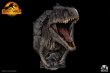 画像6: Infinity Studio  Jurassic World Dominion” Giganotosaurus Wall Mounted Bust  フィギュア (6)
