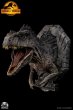 画像5: Infinity Studio  Jurassic World Dominion” Giganotosaurus Wall Mounted Bust  フィギュア (5)