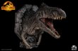画像4: Infinity Studio  Jurassic World Dominion” Giganotosaurus Wall Mounted Bust  フィギュア (4)