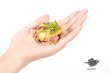 画像2: 予約 ESANSTOY  Surinam horned frog  4.7cm  フィギュア (2)