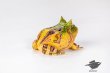 画像6: 予約 ESANSTOY  Surinam horned frog  4.7cm  フィギュア (6)