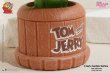 画像5: 予約 Soap Studio  Tom and Jerry  Large Tom Ver. 22.5cm  フィギュア CA272 (5)