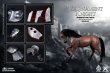 画像7: 予約 COOMODEL  SUPERALLOY  EMPIRE LEGEND  ARMORED WAR HORSE 1/6  フィギュア  EL010  RED WHITE VERSION (7)