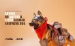 画像2: 予約 Auchee × JXK  German Shepherd Dog 1/6 フィギュア AH2202B (2)