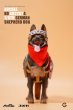 画像4: 予約 Auchee × JXK  German Shepherd Dog 1/6 フィギュア AH2202A (4)