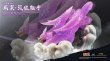 画像8: 予約 AzureSea AS  NARUTO -ナルト-  野獣の難しい  スサノオ  KURAMA 1/4   フィギュア  (8)