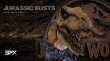 画像3: 予約 Silver Fox Collectibles  Tyrannosaurus  30cm  フィギュア  796603669606 (3)