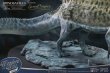 画像6: 予約 STAR ACE Toys  Spinosaurus 1.0 Ocean Edition  32cm フィギュア  SA5012  Deluxe Edition (6)