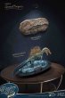 画像3: 予約 STAR ACE Toys Spinosaurus 1.0 Ocean Edition  フィギュア  SA5013  Fossil (3)