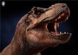 画像7:  W-DRAGON   ティラノサウルス  1/35  フィギュア   (7)