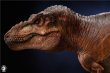 画像9:  W-DRAGON   ティラノサウルス  1/35  フィギュア   (9)