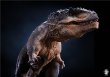 画像4: W-DRAGON  Jurassic World   Giganotosaurus  1/35  フィギュア  (4)