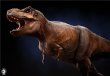 画像5:  W-DRAGON   ティラノサウルス  1/35  フィギュア   (5)