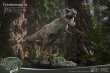 画像8: 予約 Star Ace Toys    Wonders of the Wild   Tyrannosaurus Rex   T-Rex Statue  37cm   フィギュア  SA5014  Normal version (8)