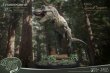 画像8: 予約 Star Ace Toys    Wonders of the Wild   Tyrannosaurus Rex   T-Rex Statue & Fossil Replica  37cm   フィギュア   SA5015  Deluxe version (8)