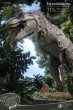 画像6: 予約 Star Ace Toys    Wonders of the Wild   Tyrannosaurus Rex   T-Rex Statue & Fossil Replica  37cm   フィギュア   SA5015  Deluxe version (6)