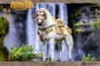 画像4: 予約 HAOYUTOYS   Myth Series - Journey to the West  White Dragon Horse  1/12  アクションフィギュア H22029 (4)