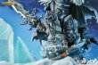 画像7: 予約 HEX Collectibles  x Blizzard  HearthStone  ハースストーン The Lich King 1/6  スタチュー  HEXHS01 (7)