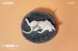 画像2: 予約  JXK    Lethargic Cat 5.0 居眠り猫   1/6   フィギュア  JXK152C (2)