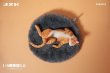 画像2: 予約  JXK    Lethargic Cat 5.0 居眠り猫   1/6   フィギュア  JXK152A (2)