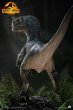 画像3: 予約 QUEEN STUDIOS  《Jurassic World 3》bete  Velociraptor  Beta   1/1 スタチュー (3)