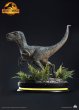 画像6: 予約 QUEEN STUDIOS  《Jurassic World 3》bete  Velociraptor  Beta   1/1 スタチュー (6)
