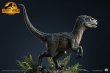 画像7: 予約 QUEEN STUDIOS  《Jurassic World 3》bete  Velociraptor  Beta   1/1 スタチュー (7)