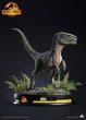 画像5: 予約 QUEEN STUDIOS  《Jurassic World 3》bete  Velociraptor  Beta   1/1 スタチュー (5)
