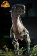 画像10: 予約 QUEEN STUDIOS  《Jurassic World 3》bete  Velociraptor  Beta   1/1 スタチュー (10)