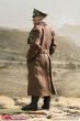 画像14:  3R  Erwin Rommel-Desert Fox General Field Marshal of German Afrika Korps   1/6   アクションフィギュア  GM651 (14)