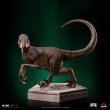 画像1: 予約 Iron Studios   Velociraptor C - Jurassic Park Icons   スタチュー   UNIVJP75422-IC (1)