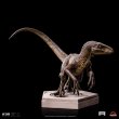 画像5: 予約 Iron Studios   Velociraptor C - Jurassic Park Icons   スタチュー   UNIVJP75422-IC (5)