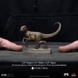 画像7: 予約 Iron Studios   Velociraptor C - Jurassic Park Icons   スタチュー   UNIVJP75422-IC (7)