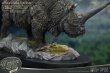 画像10: 予約 STAR ACE Toys   Wonders of the Wild   Elasmotherium Rhino   28cm   スタチュー   SA5020  Black Ver  (10)