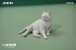 画像1: 予約 JXK   Cat In The Palace  宮殿の猫   1/6  フィギュア  JXK153B (1)