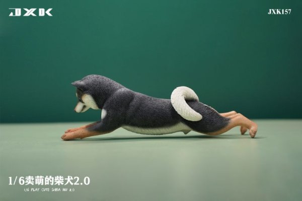 画像1: 予約 JXK  Play Cute Shiba lnu 2.0 萌える柴犬2.0  1/6  フィギュア   JXK157C (1)