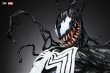画像11: 予約 XM STUDIO Spider-Man  Venom  スパイダーマン   ヴェノム  1/4 スタチュー   (11)