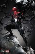 画像3: 予約 XM STUDIO Spider-Man  Venom  スパイダーマン   ヴェノム  1/4 スタチュー   (3)