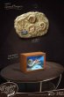画像1: 予約  STAR ACE Toys   Nautilus Miniature Frame  &   Fossil    ノーチラス    1/1  スタチュー     DELUXE Ver   SA5024 (1)