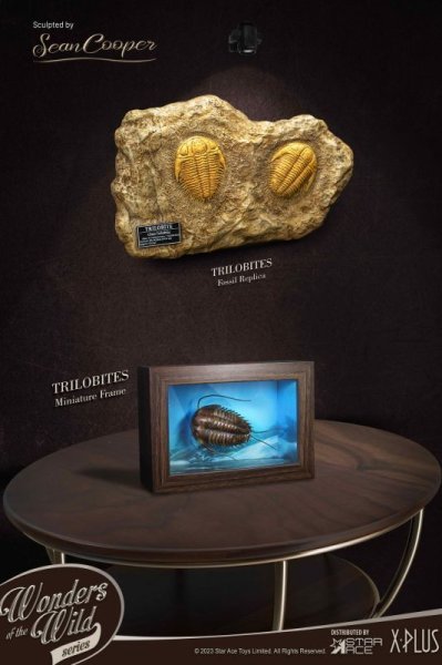 画像1: 予約  STAR ACE Toys   Trilobites Miniature Frame &  Fossil   三葉虫   1/1  スタチュー     DELUXE Ver  SA5022 (1)