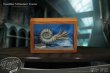 画像7: 予約  STAR ACE Toys   Nautilus Miniature Frame  &   Fossil    ノーチラス    1/1  スタチュー     DELUXE Ver   SA5024 (7)