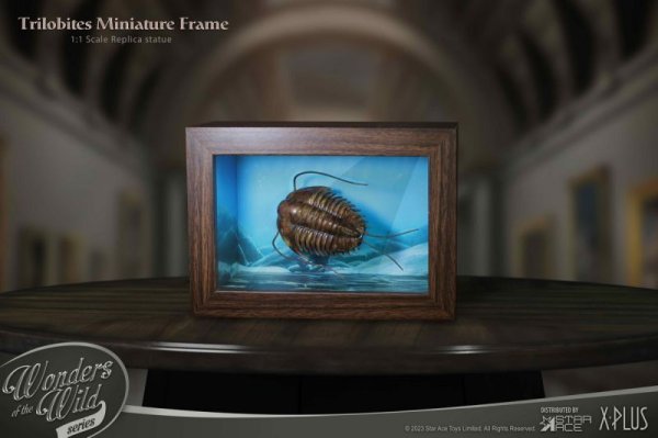 画像1: 予約  STAR ACE Toys   Trilobites Miniature Frame  三葉虫    1/1  スタチュー     NORMAL Ver  SA5021 (1)