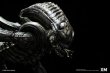 画像8: XM Studios   Alien Hive-Warrior - Black Variant Supreme  78cm  スタチュー   (8)