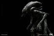 画像7: XM Studios   Alien Hive-Warrior - Black Variant Supreme  78cm  スタチュー   (7)