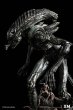 画像6: XM Studios   Alien Hive-Warrior - Black Variant Supreme  78cm  スタチュー   (6)
