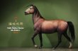 画像1: 予約 MR.Z  ハイラル馬  Hailar Horse  1/6  フィギュア   Z060-1-7 (1)