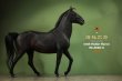 画像12: 予約 MR.Z  ハイラル馬  Hailar Horse  1/6  フィギュア   Z060-1-7 (12)