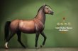 画像2: 予約 MR.Z  ハイラル馬  Hailar Horse  1/6  フィギュア   Z060-1-7 (2)