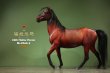画像5: 予約 MR.Z  ハイラル馬  Hailar Horse  1/6  フィギュア   Z060-1-7 (5)
