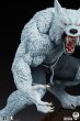 画像15: 予約 Sideshow x PCS   Killer Instinct  Wolf Guard  Brand Sabrewulf   44.4 cm  スタチュー  (15)